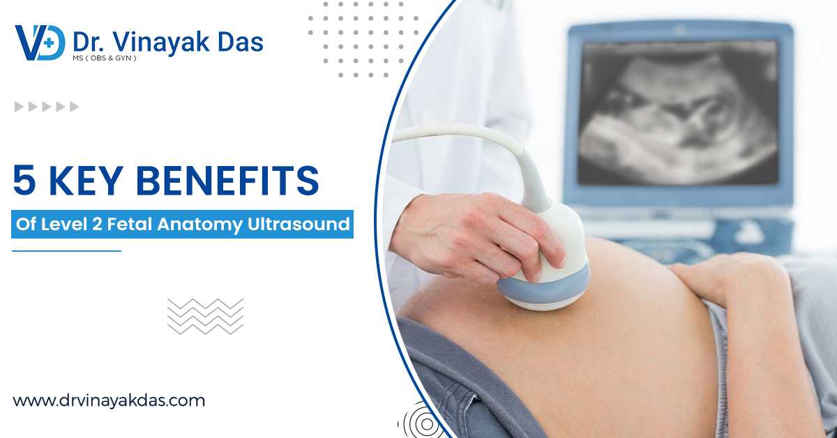 5 Key Benefits Of Level 2 Fetal Anatomy Ultrasound