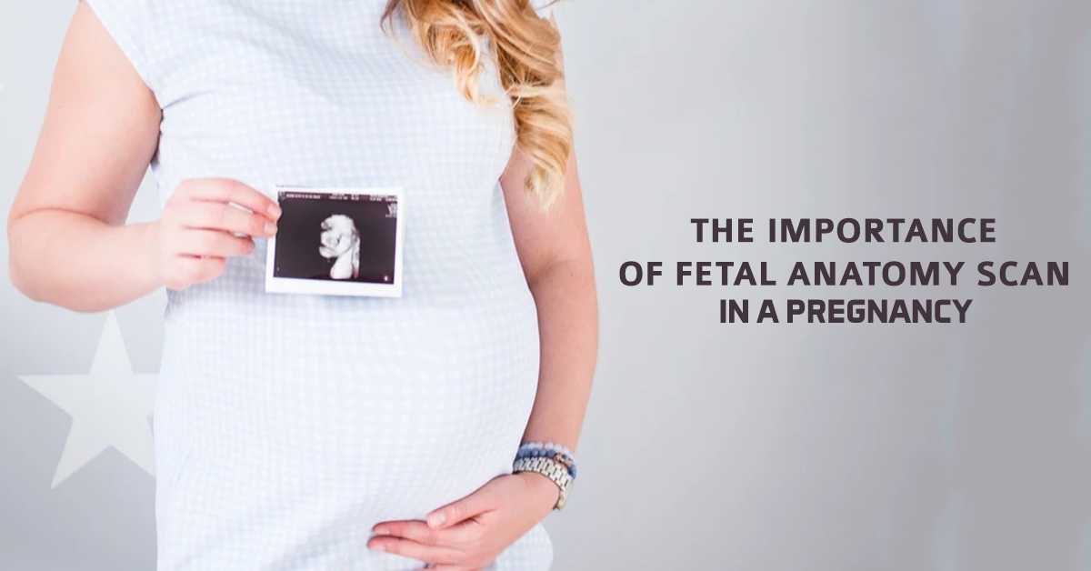The Importance of Fetal Anatomy Scan in a Pregnancy