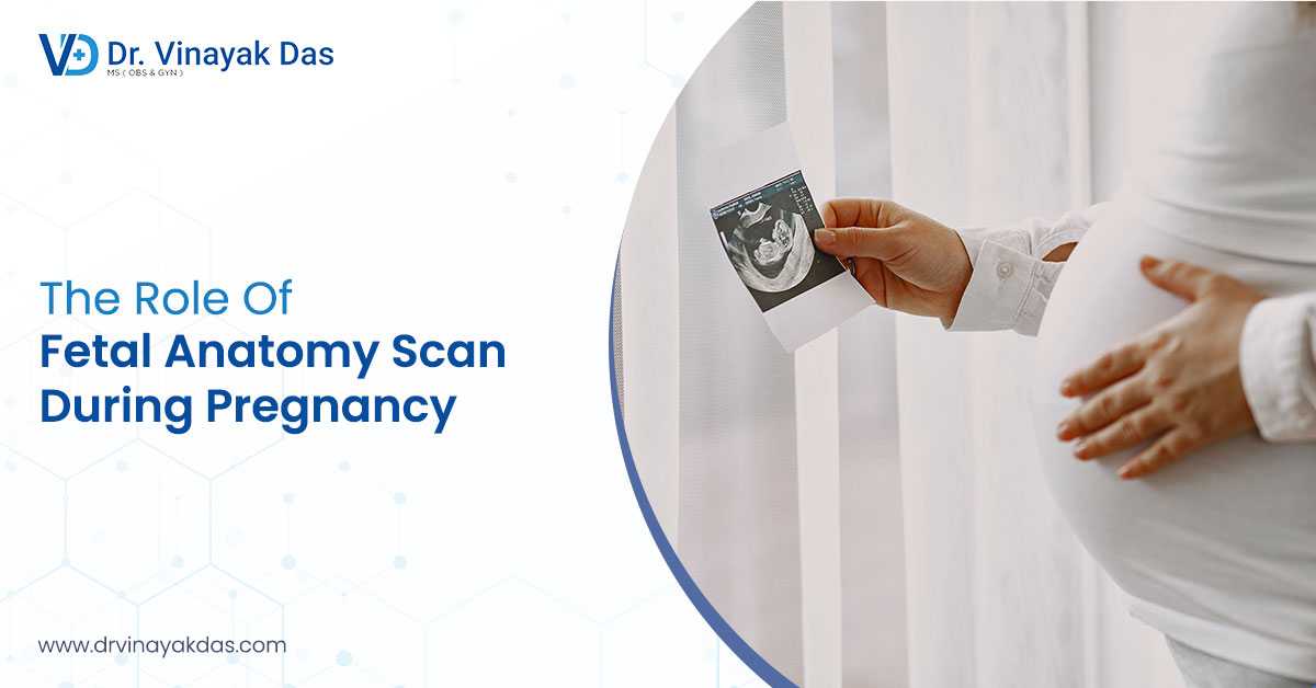 The Role Of Fetal Anatomy Scan During Pregnancy