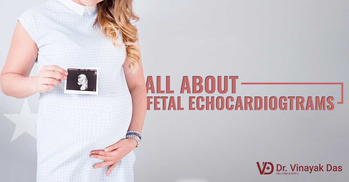 All About Fetal Echocardiograms