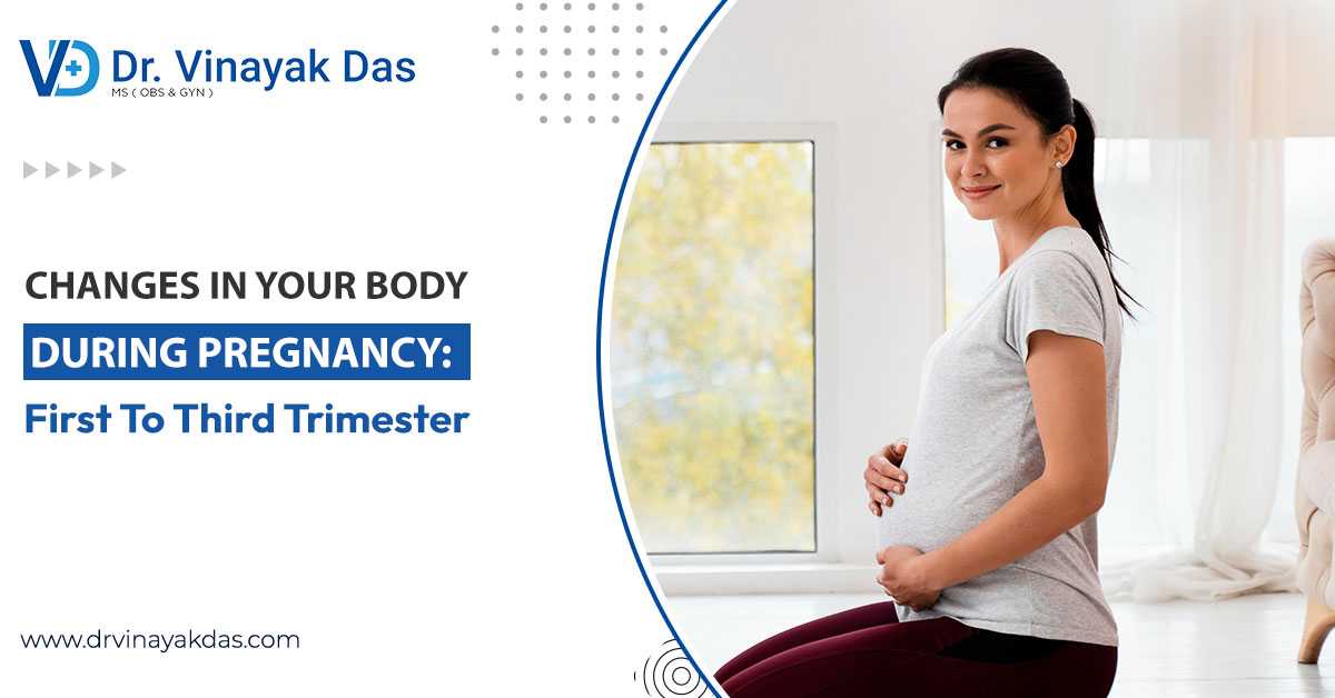 Changes In Your Body During Pregnancy: First To Third Trimester