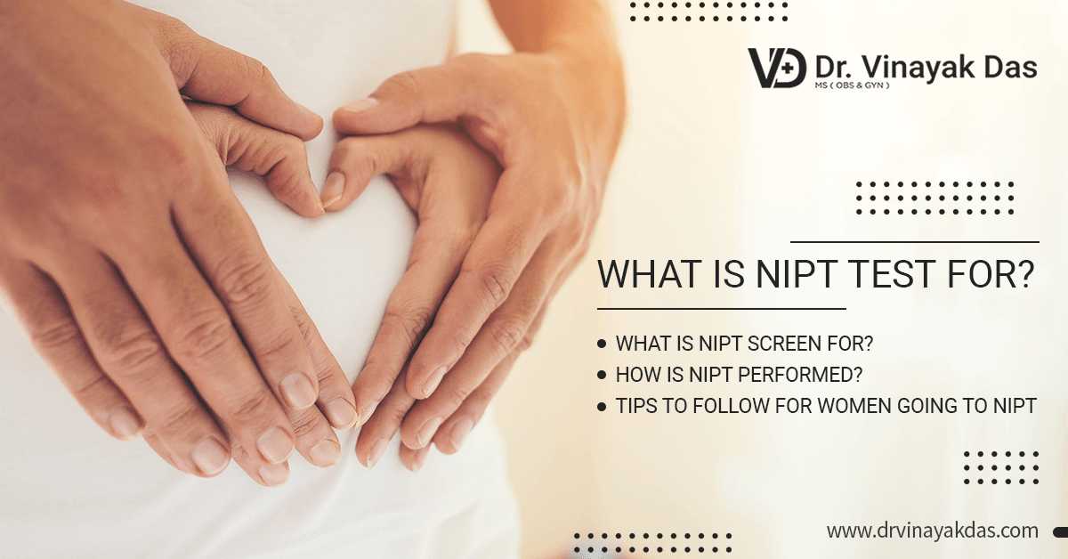 What Does NIPT Test For?