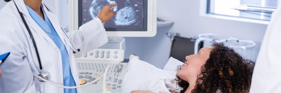 Fetal Anatomy Scan