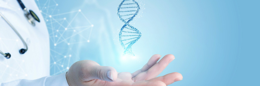What does the Genetic Doctor evaluate?