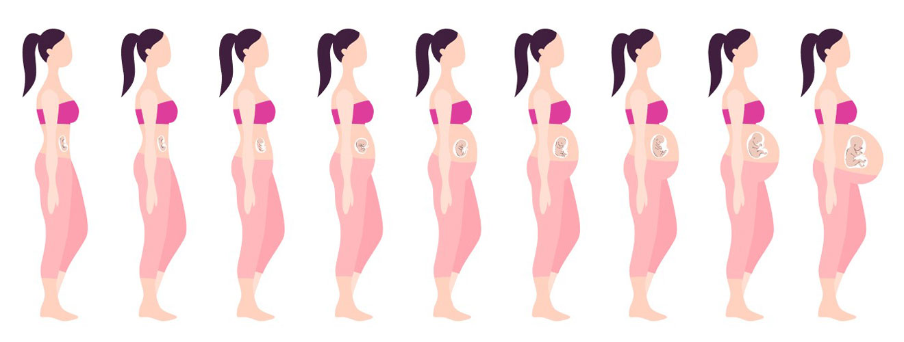 Fetal Development