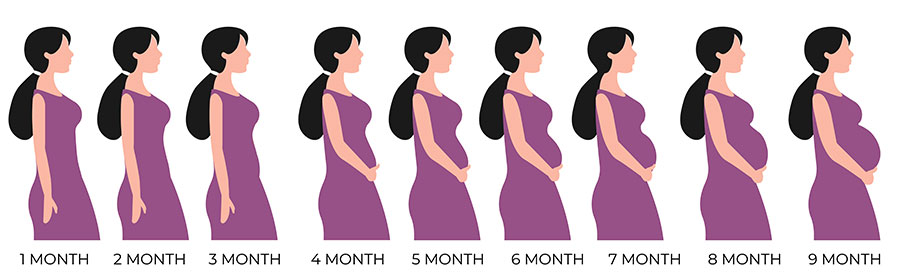 Week-by-Week Guide