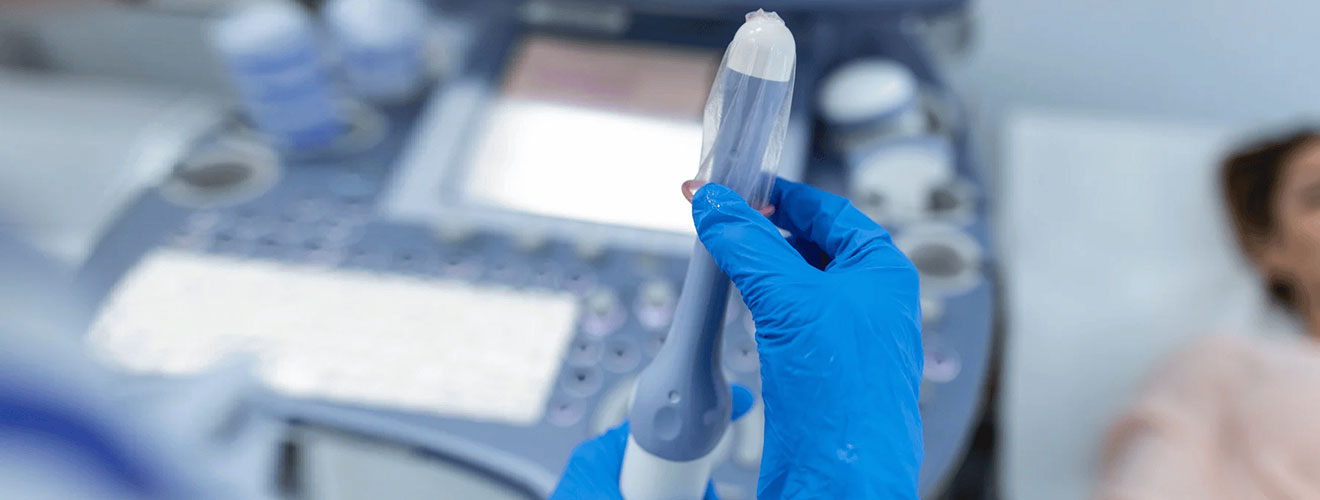 Transvaginal / Pelvic Ultrasound