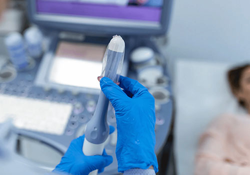 Transvaginal / Pelvic Ultrasound